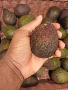 Comment bien choisir ses avocats palper la fermeté